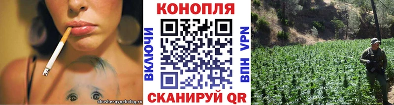 Как найти наркотики Мегион Псилоцибиновые грибы  МЕФ  МАРИХУАНА  Амфетамин 