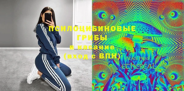 а пвп мука Алзамай