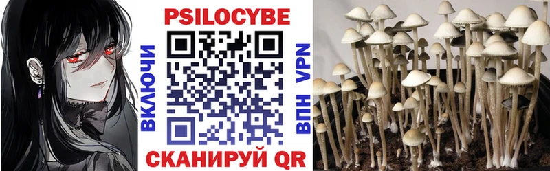 Псилоцибиновые грибы GOLDEN TEACHER  Мегион 
